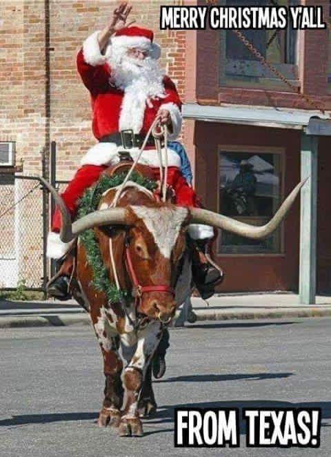 Merry Christmas Y'all, From Texas!